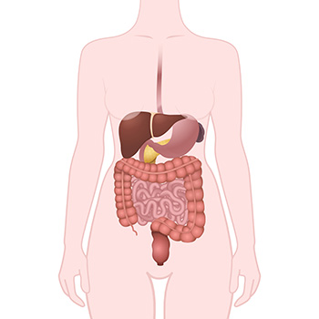 Gut health impacts your overall well-being